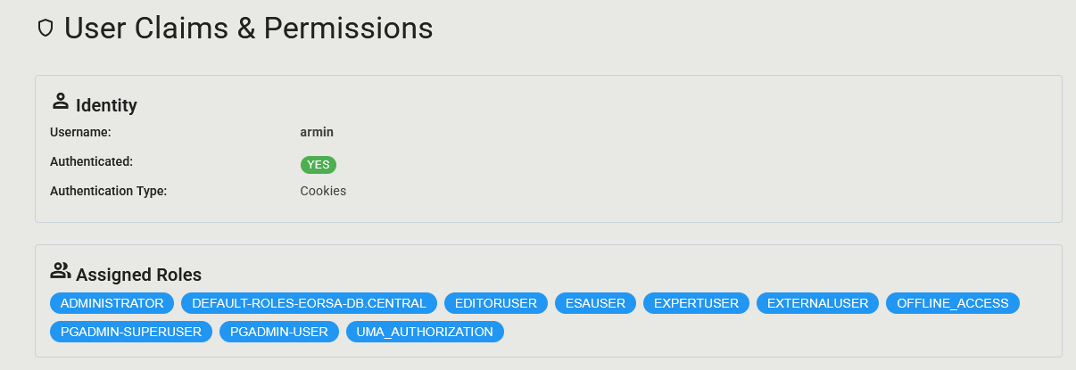 Screenshot of the Settings page showing the Assigned Roles chips and the Effective Permissions matrix for a sample user